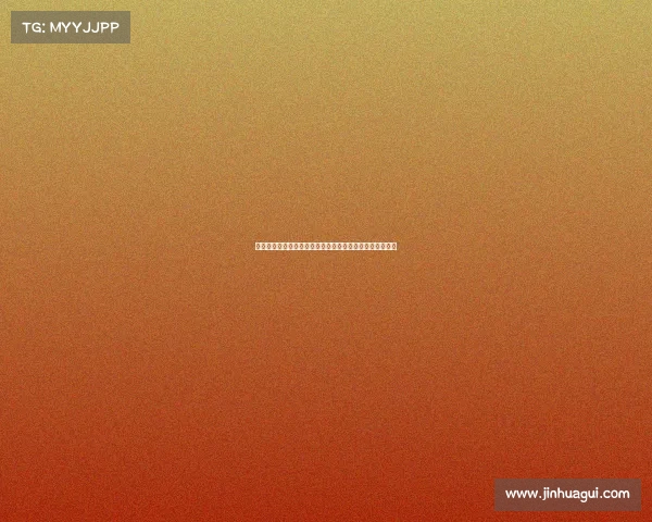 德甲足球明星风采展现:从顶级球员到未来之星的崛起之路